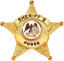 Five Point Star Badge with Circular Panel